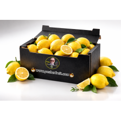 LIMONI SICILIANI NOSTRANI