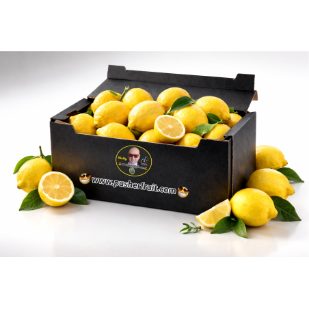 LIMONI SICILIANI NOSTRANI