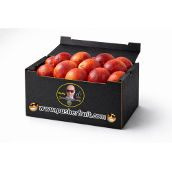 ARANCE ROSSE SICILIANE