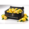 LIMONI SICILIANI NOSTRANI